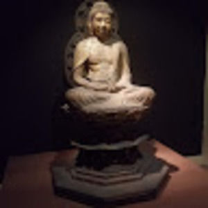 Meet your Posher, Lara